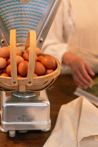 Harvesting Basket