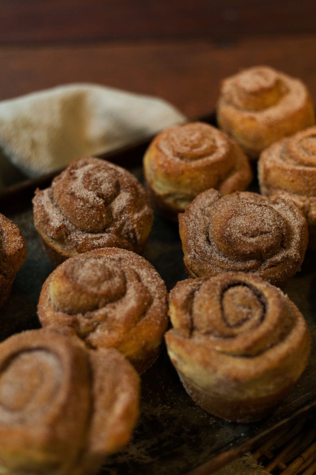 6 x Cinnamon Bun